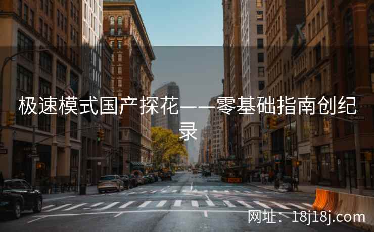极速模式国产探花——零基础指南创纪录