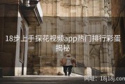 18步上手探花视频app热门排行彩蛋揭秘