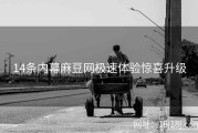 14条内幕麻豆网极速体验惊喜升级