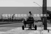 明星专访-蘑菇视频-粉丝视角-策略大全