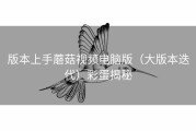 版本上手蘑菇视频电脑版（大版本迭代）彩蛋揭秘
