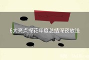 6大亮点探花年度总结深夜放送