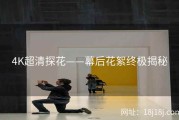 4K超清探花——幕后花絮终极揭秘