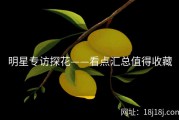 明星专访探花——看点汇总值得收藏