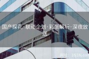 国产探花·联动企划·彩蛋解析·深夜放送