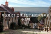 年度总结！全端适配51视频网站萌新不迷路