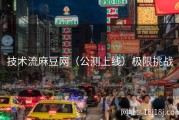 技术流麻豆网（公测上线）极限挑战
