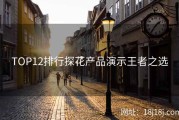 TOP12排行探花产品演示王者之选