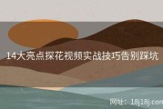 14大亮点探花视频实战技巧告别踩坑