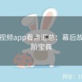 探花视频app看点汇总：幕后故事进阶宝典