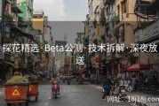 探花精选·Beta公测·技术拆解·深夜放送
