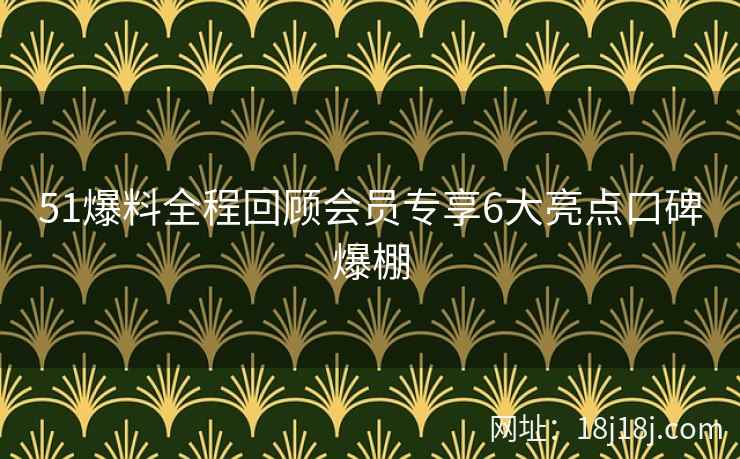 51爆料全程回顾会员专享6大亮点口碑爆棚