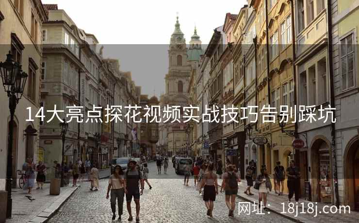 14大亮点探花视频实战技巧告别踩坑