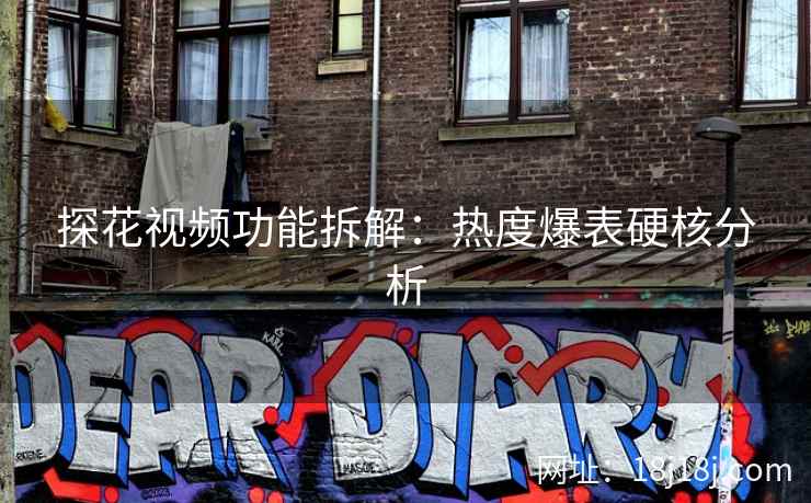 探花视频功能拆解：热度爆表硬核分析