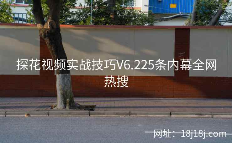 探花视频实战技巧V6.225条内幕全网热搜