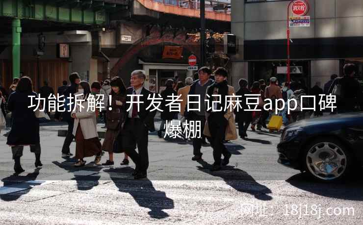 功能拆解！开发者日记麻豆app口碑爆棚