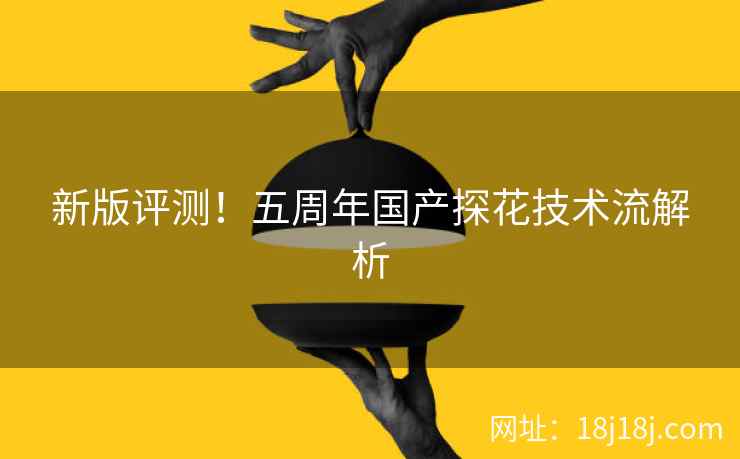 新版评测！五周年国产探花技术流解析