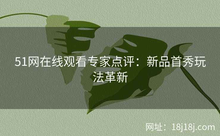 51网在线观看专家点评：新品首秀玩法革新