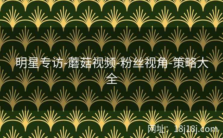 明星专访-蘑菇视频-粉丝视角-策略大全