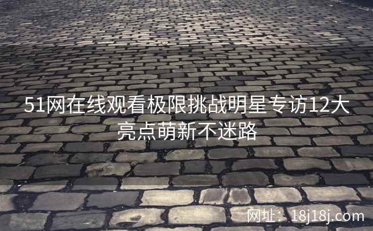 51网在线观看极限挑战明星专访12大亮点萌新不迷路