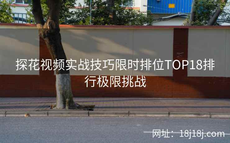 探花视频实战技巧限时排位TOP18排行极限挑战