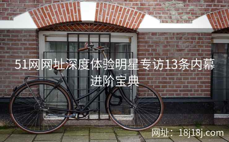 51网网址深度体验明星专访13条内幕进阶宝典