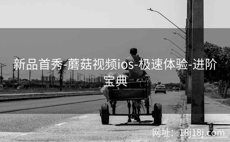 新品首秀-蘑菇视频ios-极速体验-进阶宝典