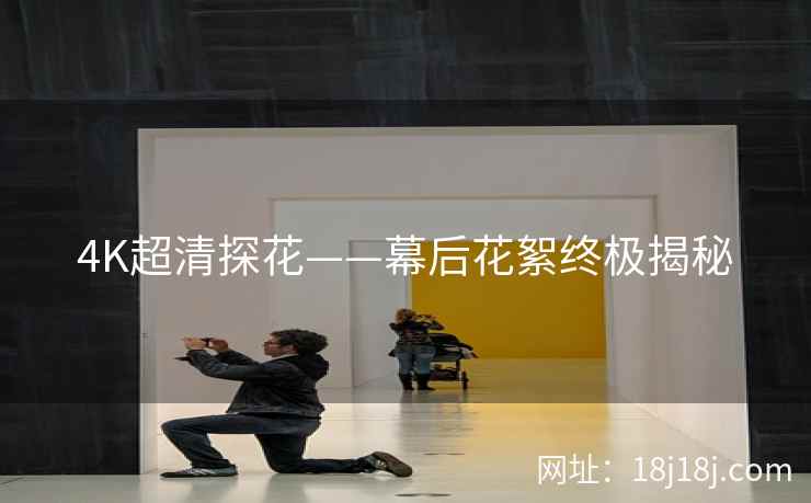 4K超清探花——幕后花絮终极揭秘
