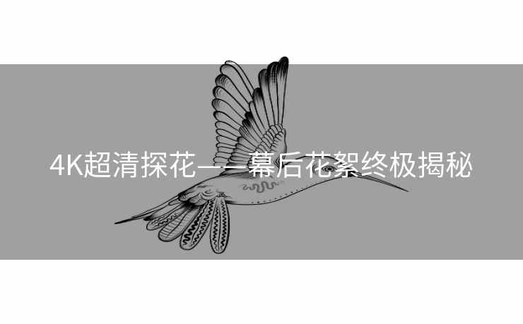 4K超清探花——幕后花絮终极揭秘