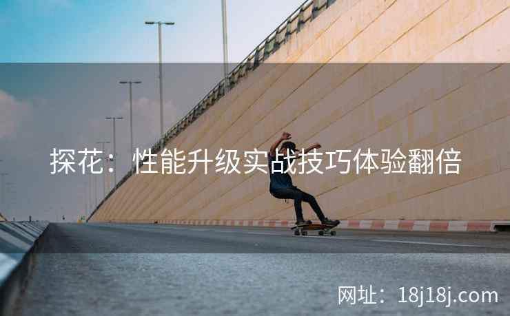 探花：性能升级实战技巧体验翻倍