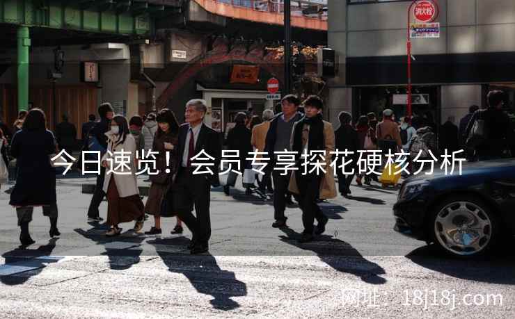 今日速览！会员专享探花硬核分析