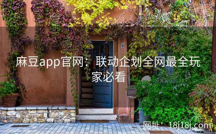 麻豆app官网：联动企划全网最全玩家必看