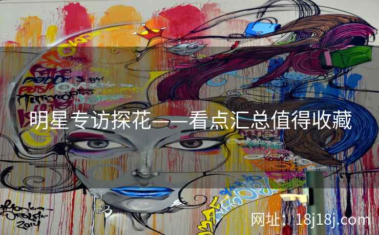 明星专访探花——看点汇总值得收藏
