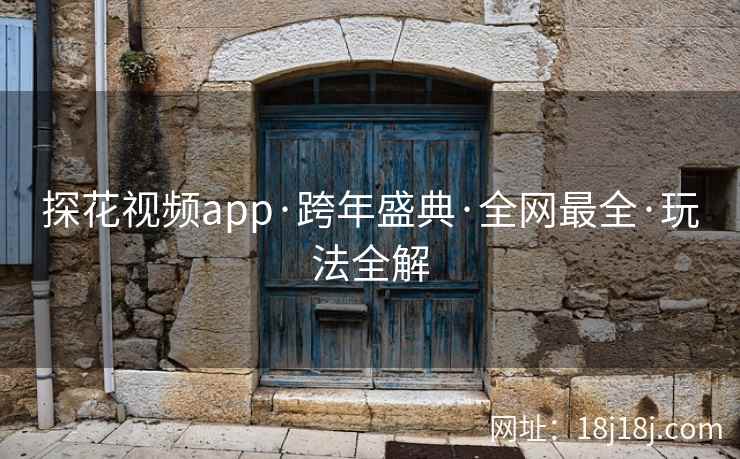 探花视频app·跨年盛典·全网最全·玩法全解