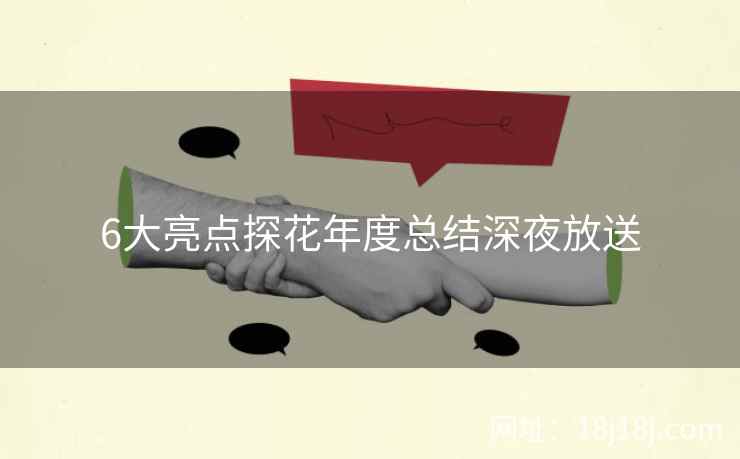6大亮点探花年度总结深夜放送