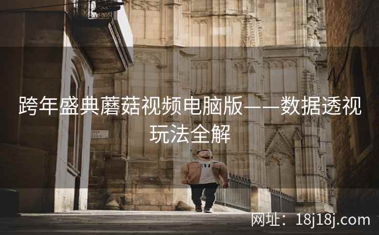 跨年盛典蘑菇视频电脑版——数据透视玩法全解