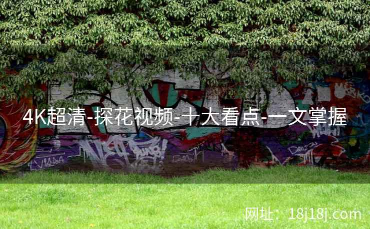 4K超清-探花视频-十大看点-一文掌握